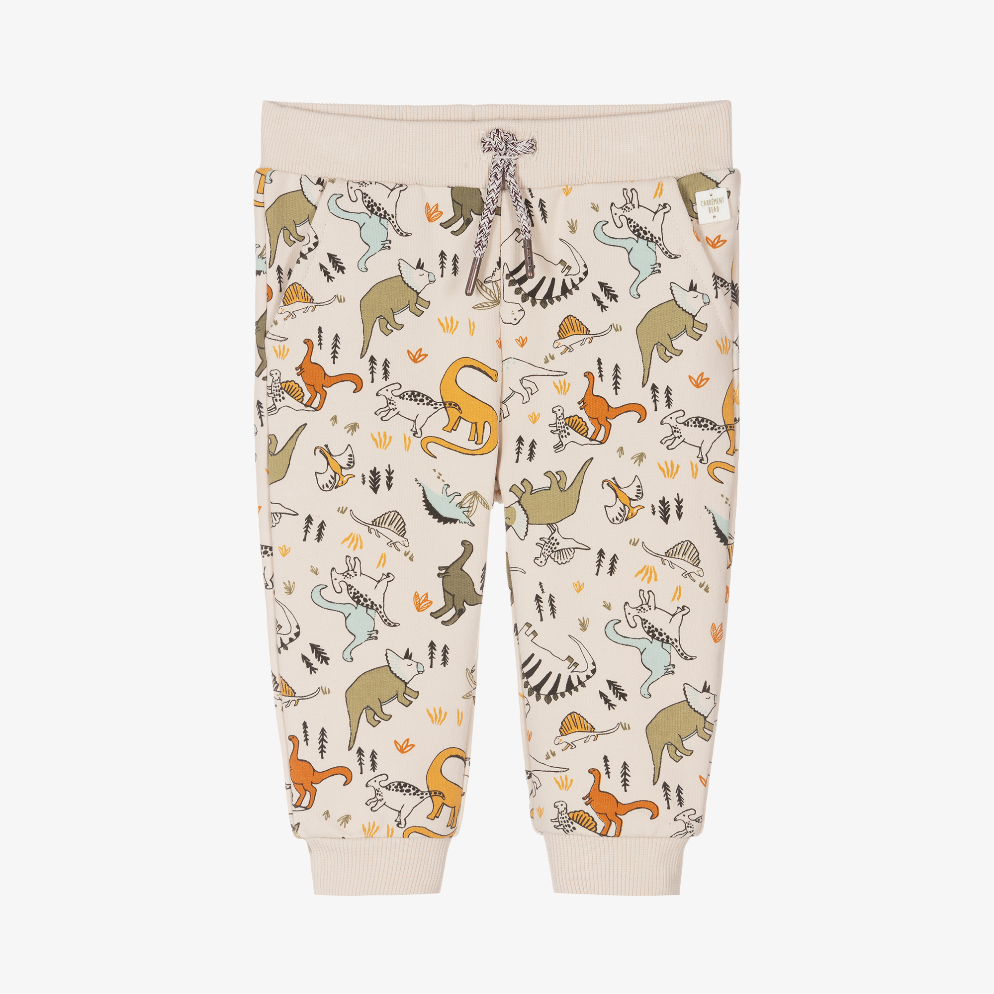 Boys discount dinosaur joggers