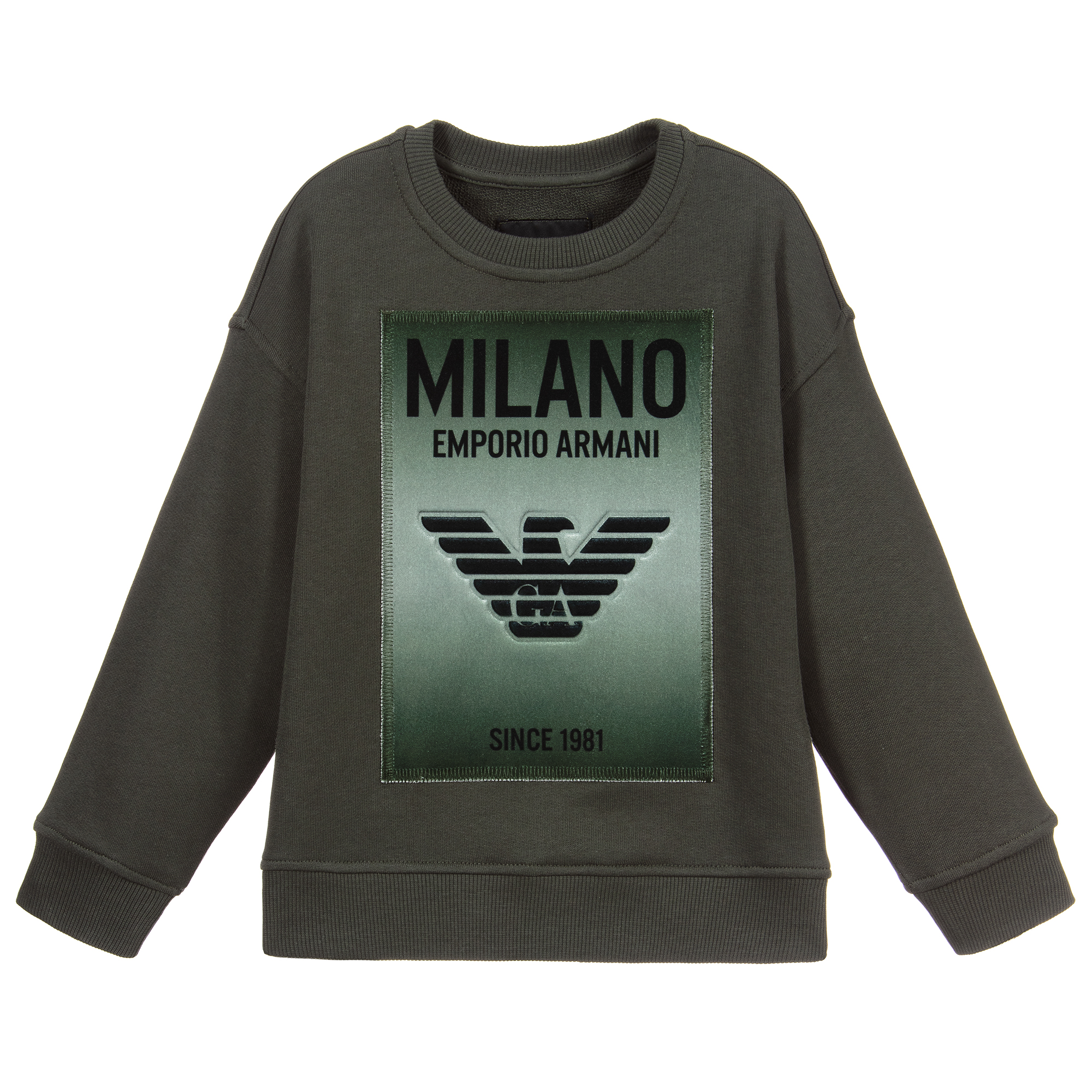 Armani green online sweatshirt