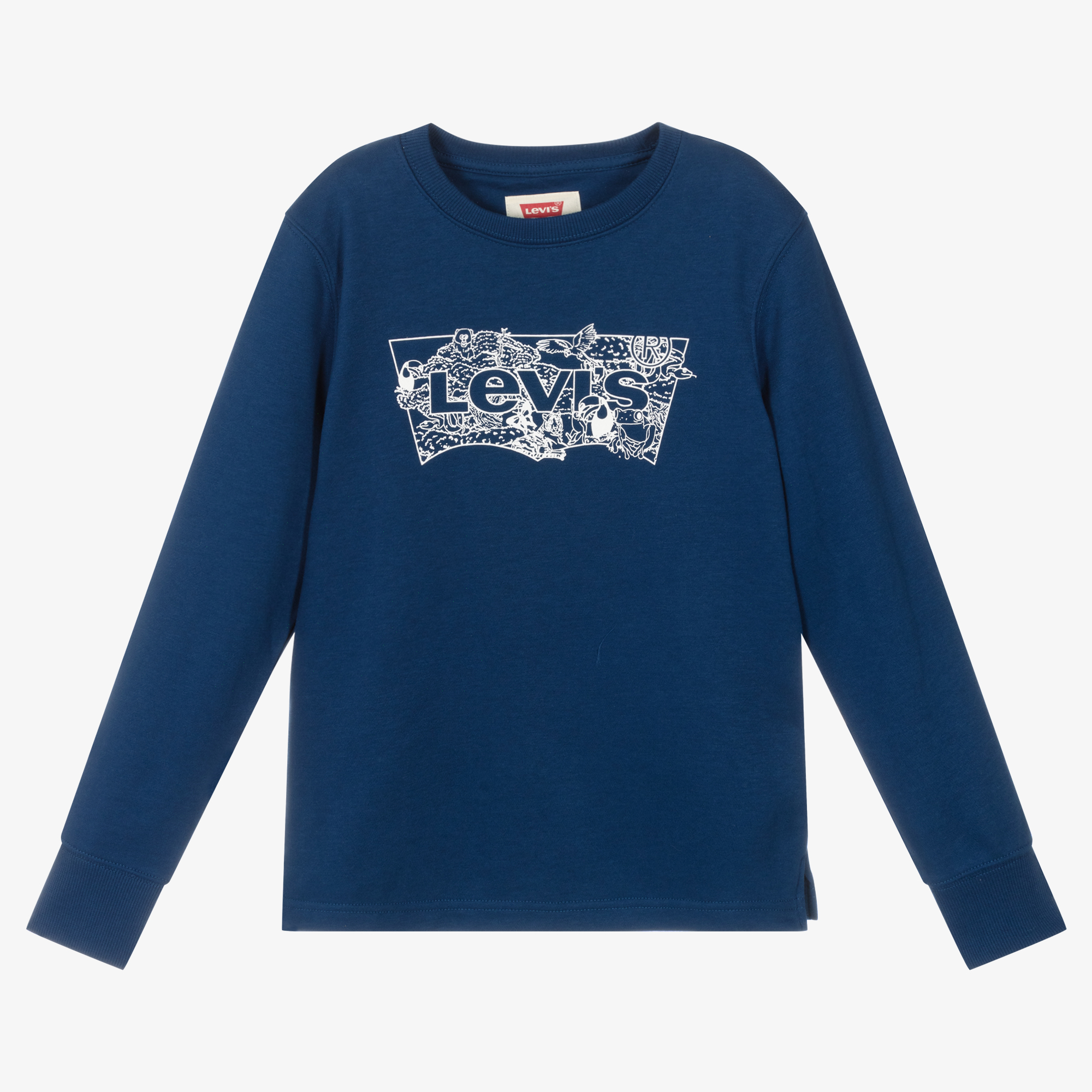 Boys levi online sweatshirt