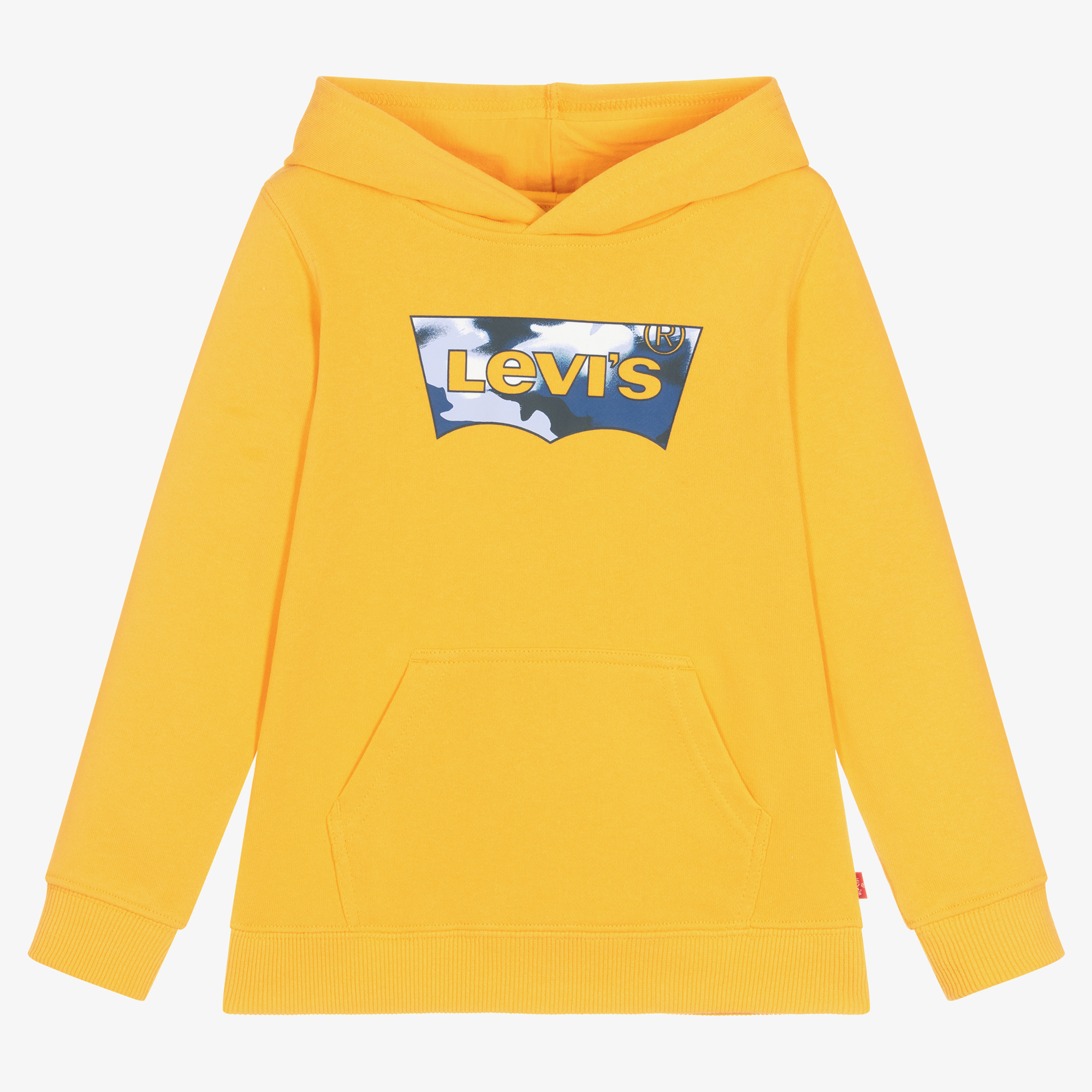 Boys discount levi hoodie