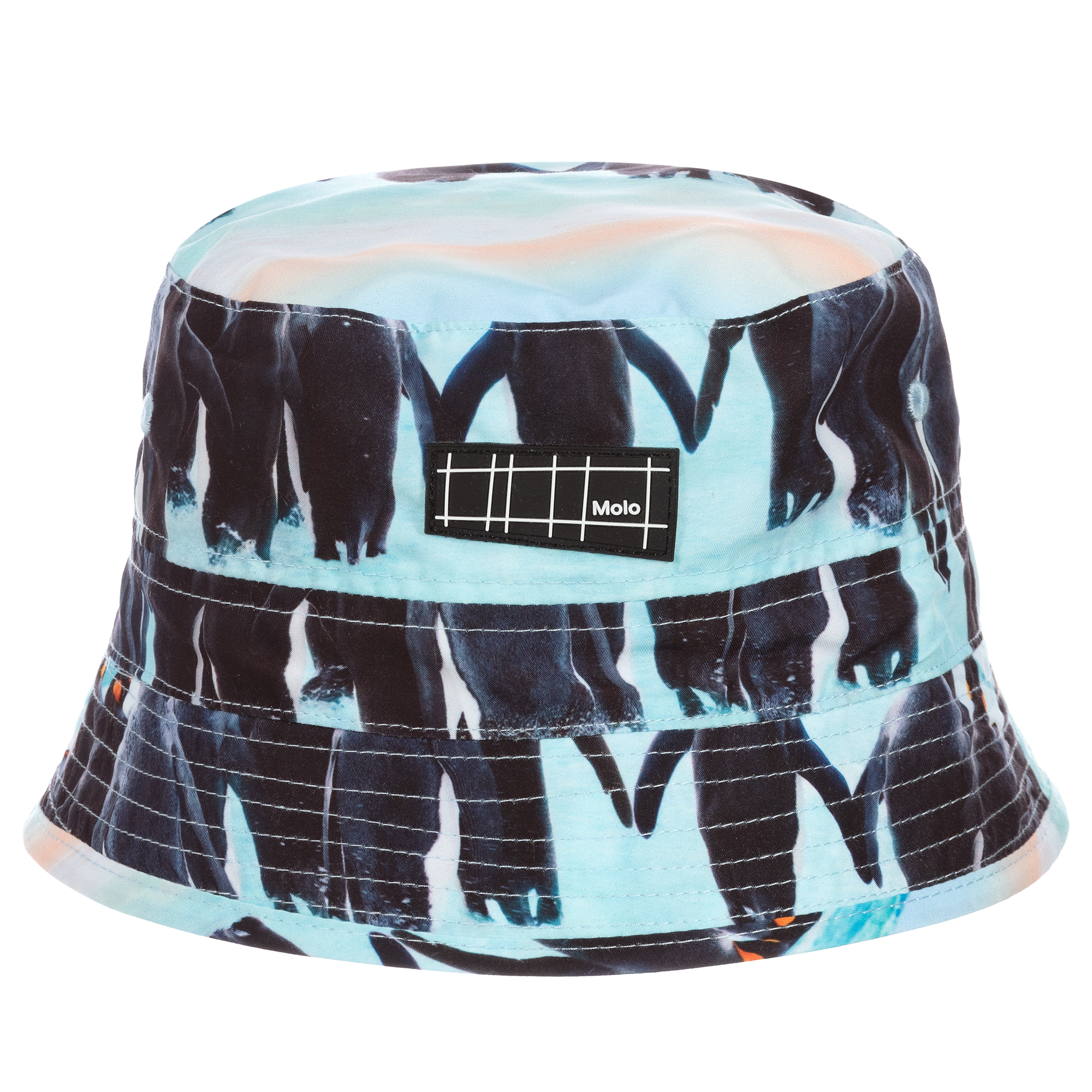 blue penguin hat