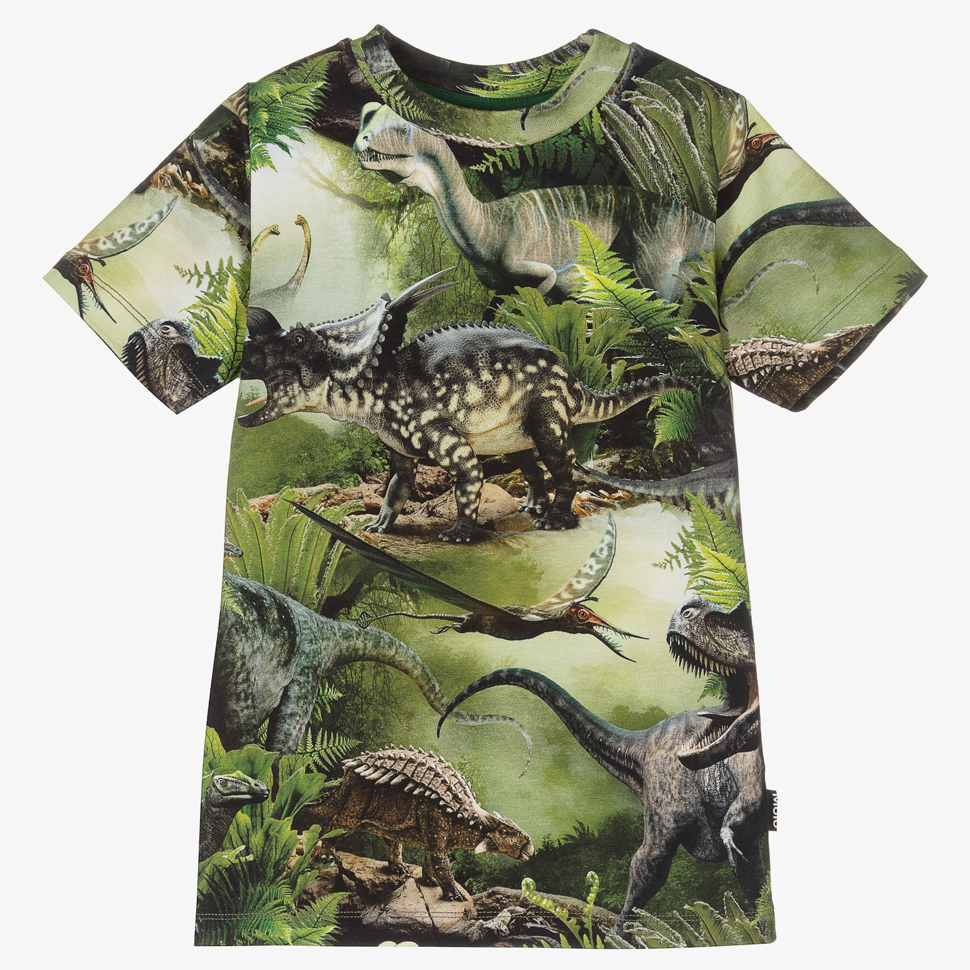 Molo - Childrensalon Boys Outlet T-Shirt Green Dinosaur 