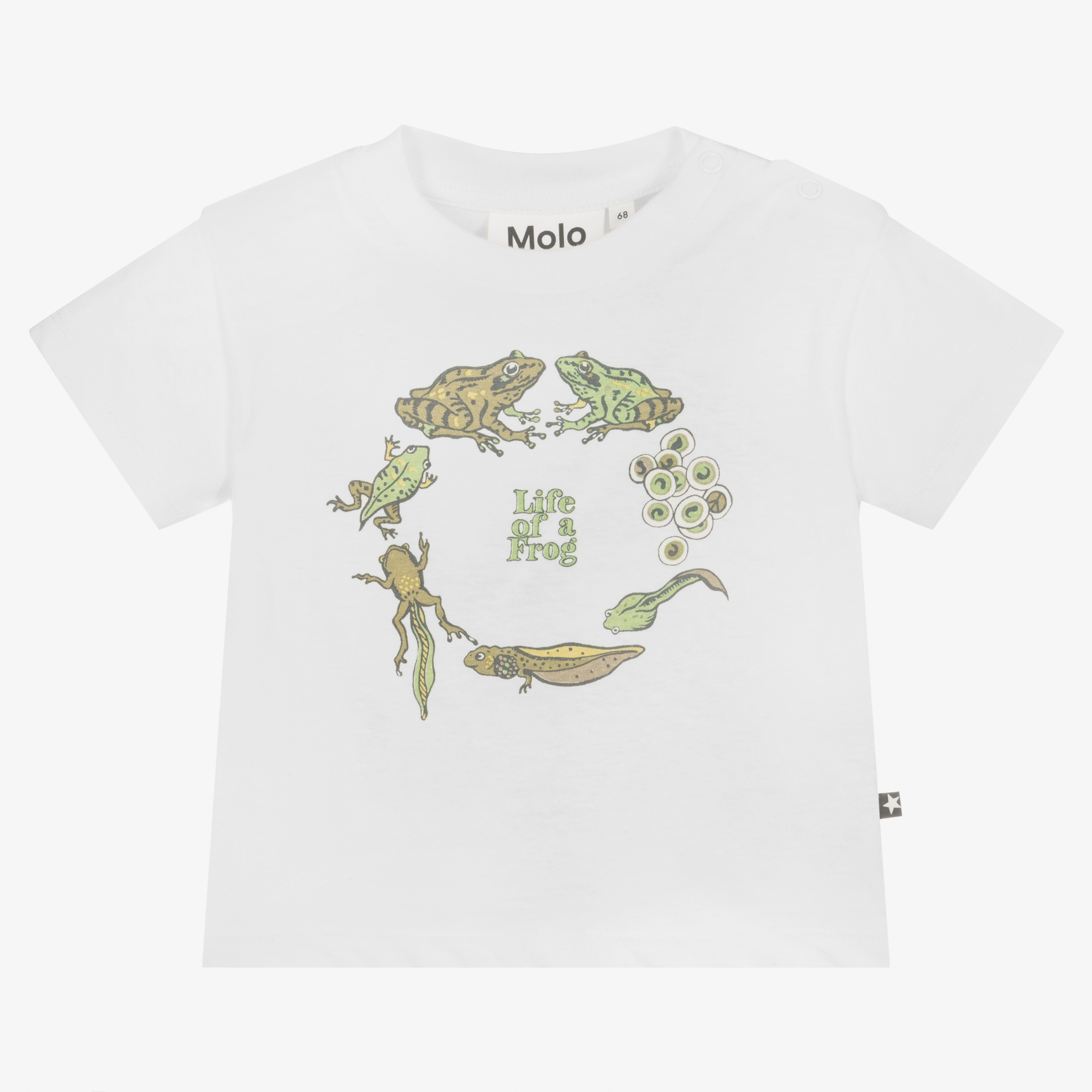 Rube - Frog Pond - Green organic t-shirt with frog pond print - Molo