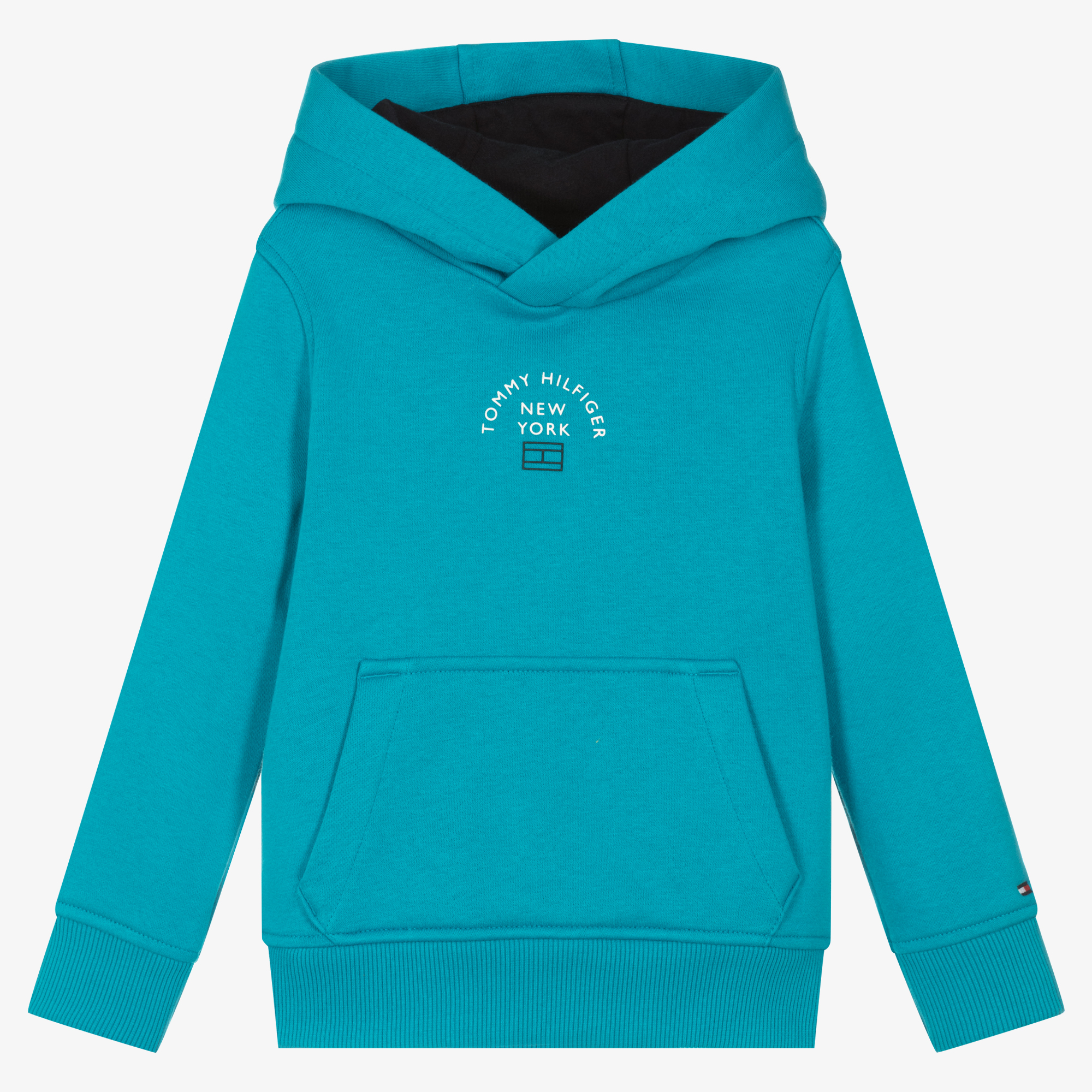 Tommy hilfiger hotsell turquoise hoodie